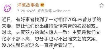 吃瓜大赛作文